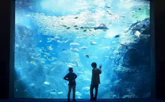 米津玄師、『海獣の子供』五十嵐大介と対談　本屋での「出会い」振り返る