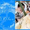 画像は「世界流しそうめん協会」公式サイトより