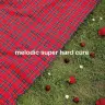 『メロディック・スーパー・ハード・キュア』ジャケット