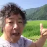 画像は動画のキャプチャ