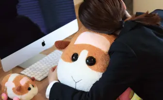 『PUI PUI モルカー』もこもこクッション（でかい）が最高にかわいい