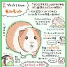 ぬまがさワタリさんによるモルモットの図解／画像はすべてぬまがさワタリさん提供