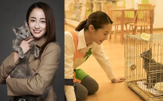 沢尻エリカ×猫の映画とかズルい！ 犬童一心「自分の下心に感謝です」
