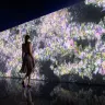 「Infinity of Flowers」チームラボ, 2014, インタラクティブデジタルインスタレーション, 音楽: 高橋英明

