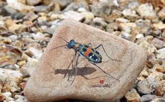 石に描かれた躍動感溢れる生き物たち　繊細で美しい作品に息を呑む