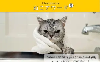 猫の写真集 No.1決定戦「ねこアワード展」 GWはネコにまみれたい…