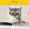 「Photoback ねこアワード展」