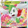 「シェイミVSTAR」／画像はすべてポケモンカードゲーム トレーナーズウェブサイトから