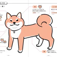 『柴犬のトリセツ』