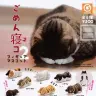 「ごめん寝コ フィギュアマスコット2」／画像は楽天市場公式サイトから
