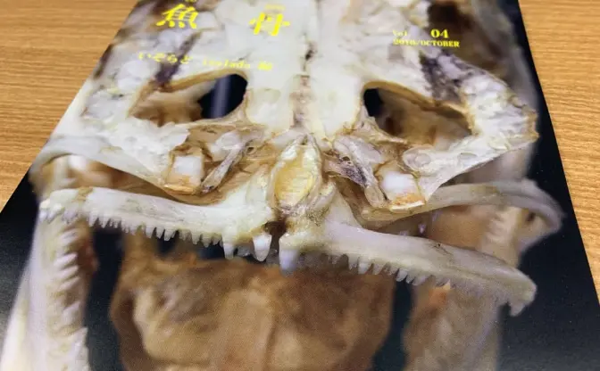 「#おもしろ同人誌バザール」に集う奇想天外DEEPな同人誌たち