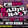 「FM802 ROCK FESTIVAL RADIO CRAZY」特設サイトより