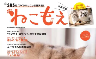 アイドル猫のムック本『ねこもえ』 観相学を応用したニャン相占いも
