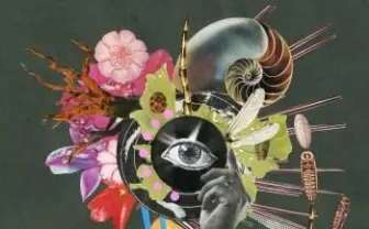 映像の一部はロトスコープ 「惡の華」OPテーマのミュージックビデオ公開 