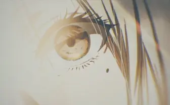 自主制作アニメ『微睡みのヴェヴァラ』 ブロックチェーンで広がるアニメの未来