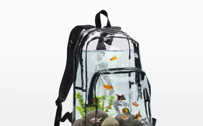 アクアリウムを持ち運べるバックパックがヤバい　金魚も石も水草も付属!?