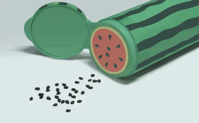 「スイカの調味料入れ」スイカの種と黒ごま、似てるじゃん