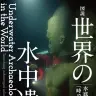 『図説 世界の水中遺跡』