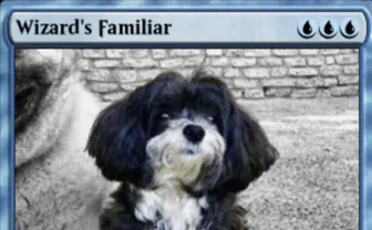 イーロン・マスクに『MTG』プレイヤー説浮上 今度は愛犬をカード化