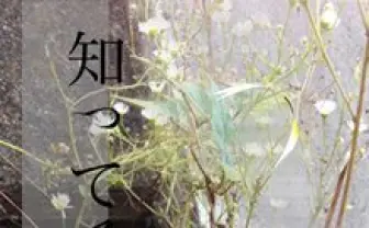 都市がテーマのファッションブランドBALMUNG　2016春夏コレクション発表