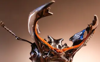 躍動感溢れるクワガタに惚れ惚れ！ 昆虫写真家「ムシキングに出会わなければ撮れなかったかも」