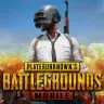 『PLAYERUNKNOWN'S BATTLEGROUNDS』（PUBG）