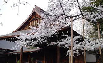 桜は今が見頃！ ゆったり楽しむ都内のお花見穴場スポット5選