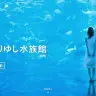 DMMかりゆし水族館（仮称）／画像は公式サイトのスクリーンショット