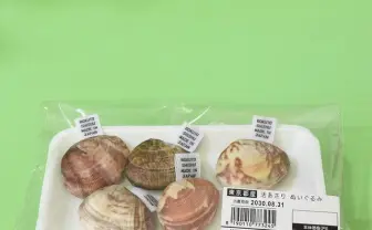 アサリのぬいぐるみ、美味しそう　夫婦で営む刺繍工場からお届けします