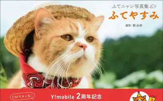 CMで大人気「ふてニャン」2nd写真集 この猫、ふてぶてしいけど愛くるしい!
