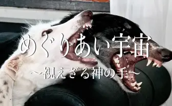 NDG自主イベントに餓鬼レンジャー、どついたるねん、カンパニー松尾