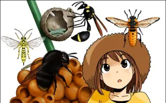 ぶんぶんぶん♪ イラストや写真でマニアックにハチを学ぼう