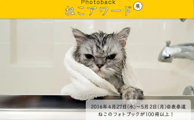 猫の写真集 No.1決定戦「ねこアワード展」 GWはネコにまみれたい…