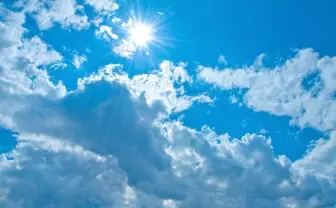 美味しく紫外線対策! 誰でも簡単にできる紫外線対策レシピ/食材