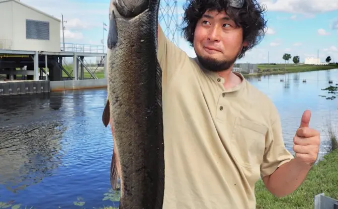 生物ライター平坂寛が「情熱大陸」に　珍生物を獲って食べる！