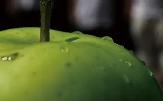 3人組ユニット「青い果実」って何者？ HIPHOPやシティポップが融合した名盤