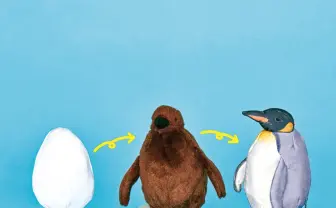 気分は親ペンギン　卵→ヒナ→成鳥と育つペンギンぬいぐるみが尊い