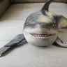 Baby Shark - Official Compilation