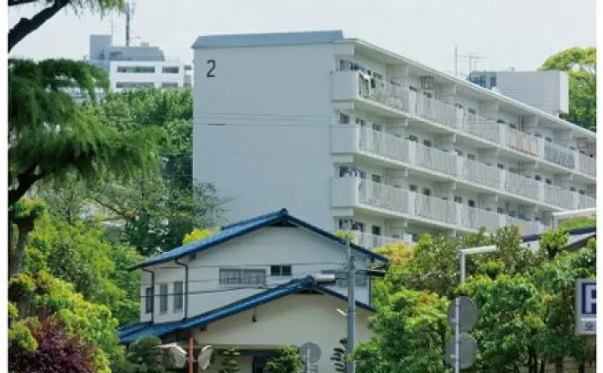 「ソーシャル麻婆豆腐」…？ ネット上の秘密結社が展覧会を開催