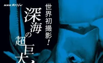 NHKが本気出してきた！　ついにあの伝説の「ダイオウイカ」が劇場版に