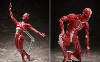 人体模型が可動式フィギュア「figma」に！ 変幻自在なポージングがジワる