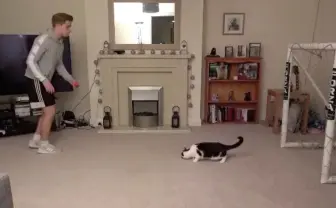 勝てる気がしニャい…ビッグセーブ連発のGK猫　ドイツ強豪チームもあっぱれ