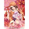 懐かしアニソンがTikTokで再発見 「恋愛サーキュレーション」以外も多数