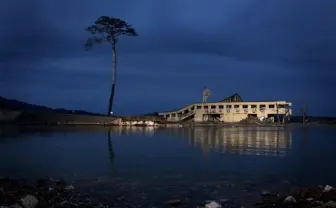 「奇跡の一本松」をアニメ映画化　美術監督・山本二三さんら、クラウドファンディング開始