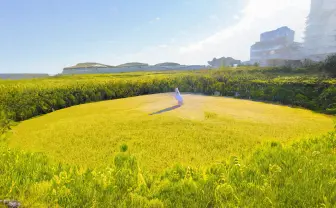 「えなこりんぐ」の囲みが大草原に　Photoshop新機能が驚異的