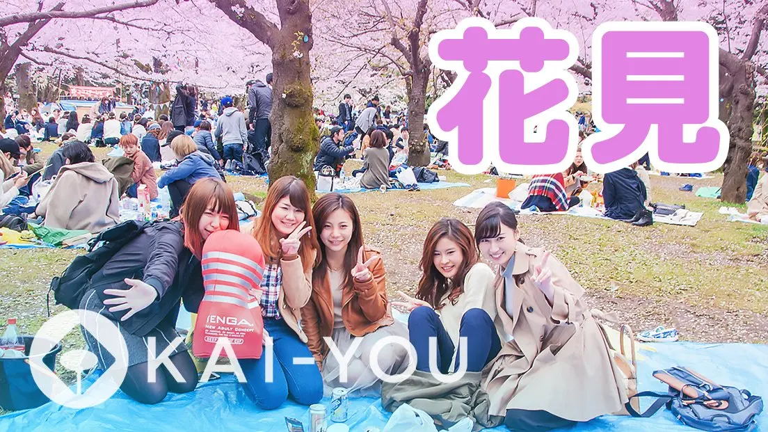 KAI-YOUのプランナー・かよちゃんが代々木公園のお花見に突撃！