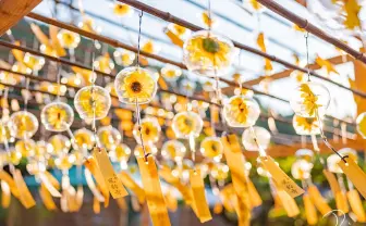 太陽でキラキラ、向日葵の夏風鈴「ノスタルジックが夏の魅力」