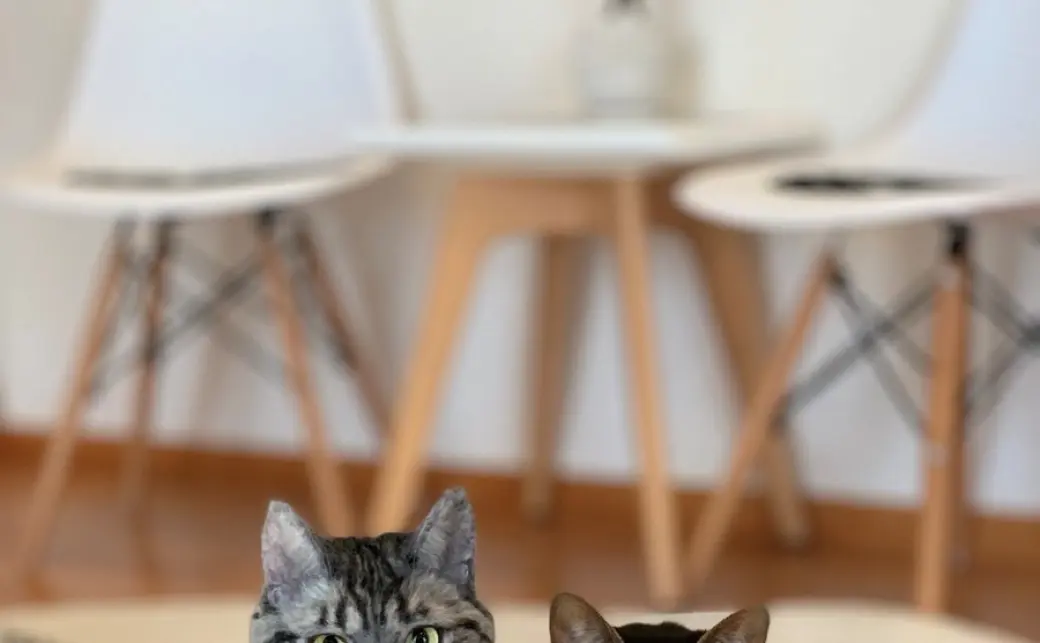 どっちが本物？ 超リアルな羊毛フェルト猫がまじで見分けつか