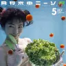 『月刊水中ニーソR』5月号　水中の美女×ランジェリー×トマトのグラビア写真