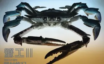 陶芸家 岡村悠紀が個展「蟹工 II」 陶器で自在に動くカニを生み出す妙技